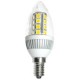 Amploule FLAMME LED E14 21 LEDs 